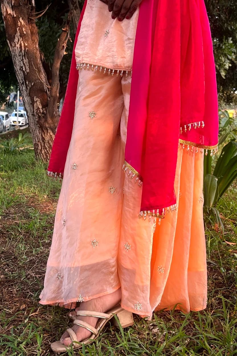 Sajra - tissue organza kurta set in peachy tones with a pink dupatta — Image 3